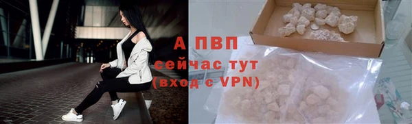 соль ск Алзамай