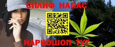 a pvp Моздок
