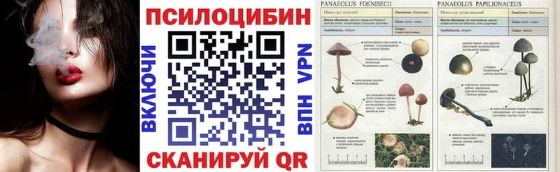 дарк нет Telegram  Ленинск-Кузнецкий  Псилоцибиновые грибы GOLDEN TEACHER 