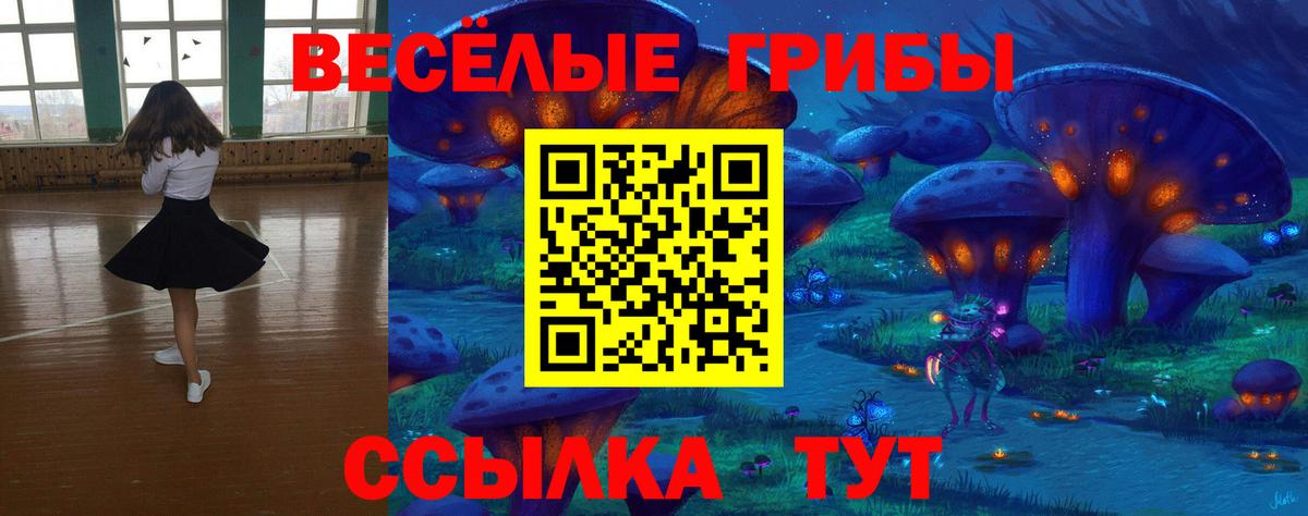 Галлюциногенные грибы ЛСД Ленинск-Кузнецкий