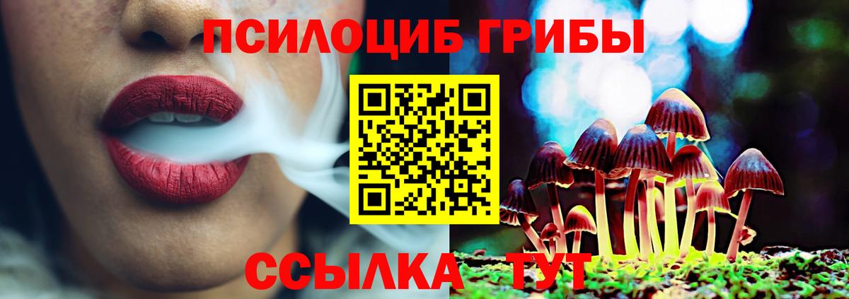 Псилоцибиновые грибы Psilocybine cubensis  Вход с VPN  Ленинск-Кузнецкий  Галлюциногенные грибы MAGIC MUSHROOMS 